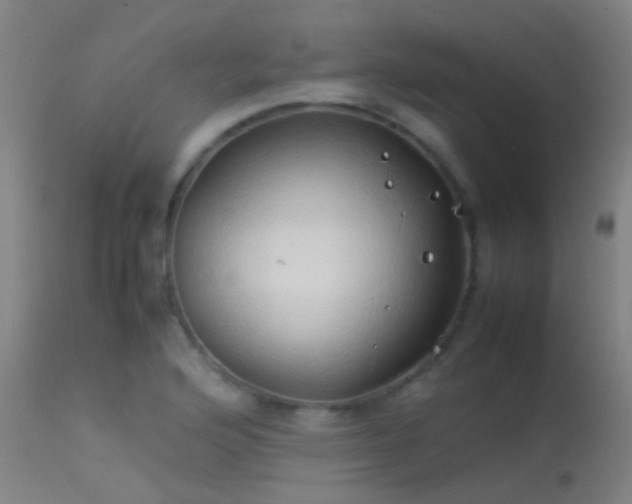 X0000114141176200910151602