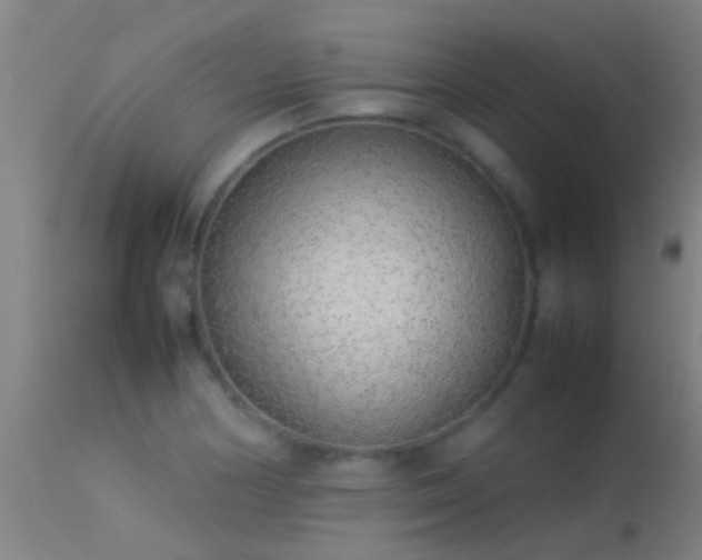 X0000114141178200910151602