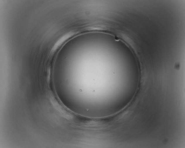 X0000114141179200910151602