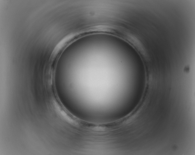 X0000114141180200910151602