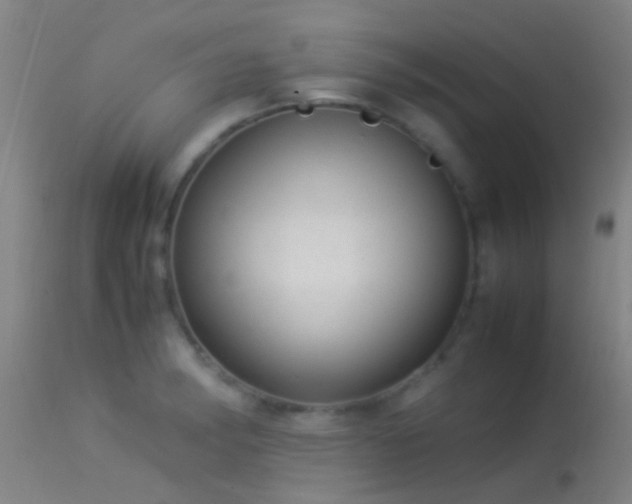 X0000114141182200910151602