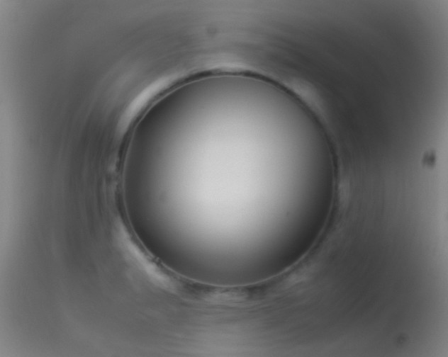 X0000114141183200910151602