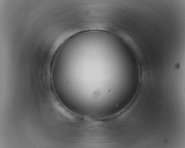 X0000114141184200910151602