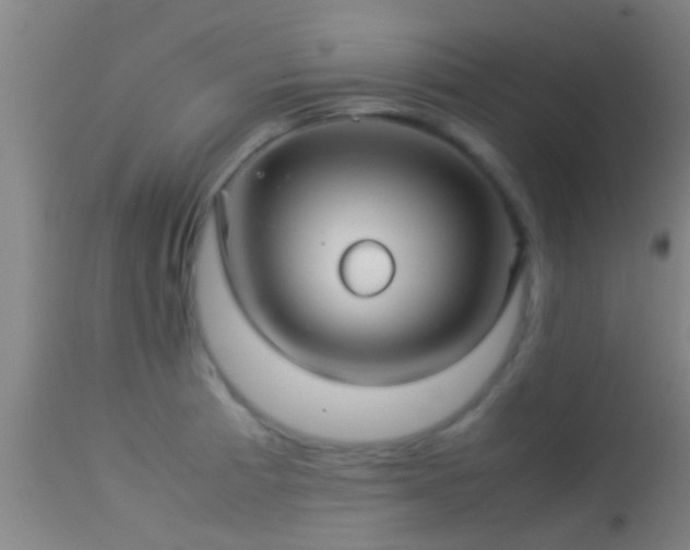 X0000114141185200910151602