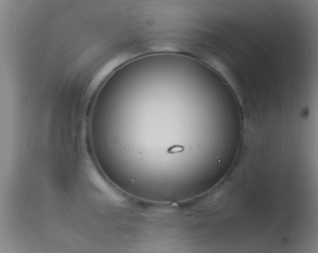 X0000114141187200910151602