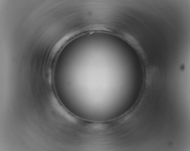 X0000114141188200910151602