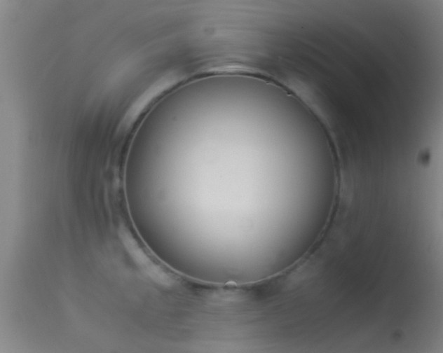 X0000114141189200910151602