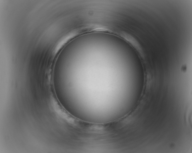 X0000114141190200910151602