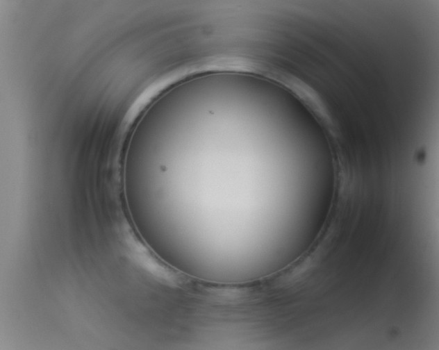 X0000114141192200910151602