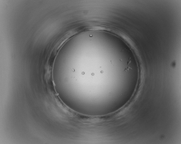 X0000114141193200910151602