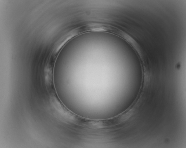 X0000114141194200910151602