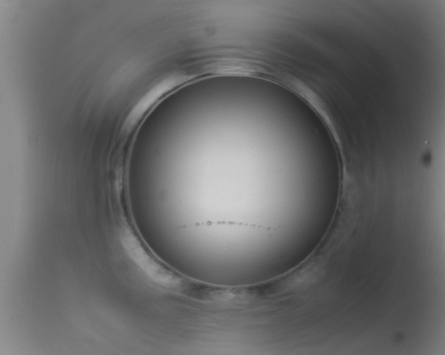 X0000114141195200910151602