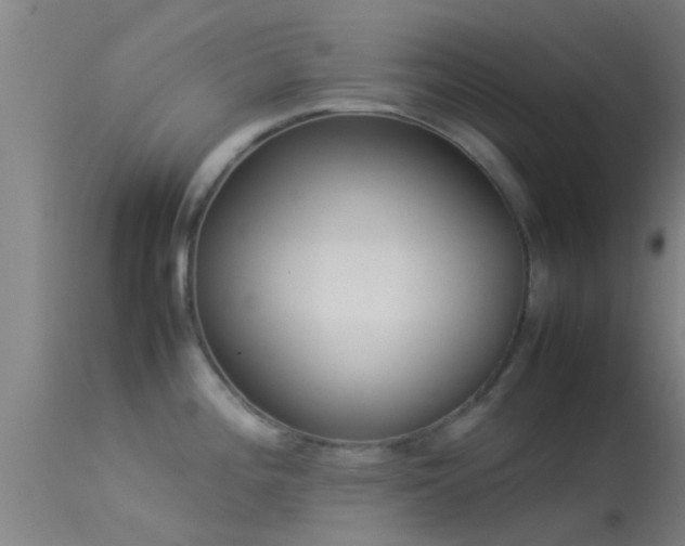 X0000114141196200910151602