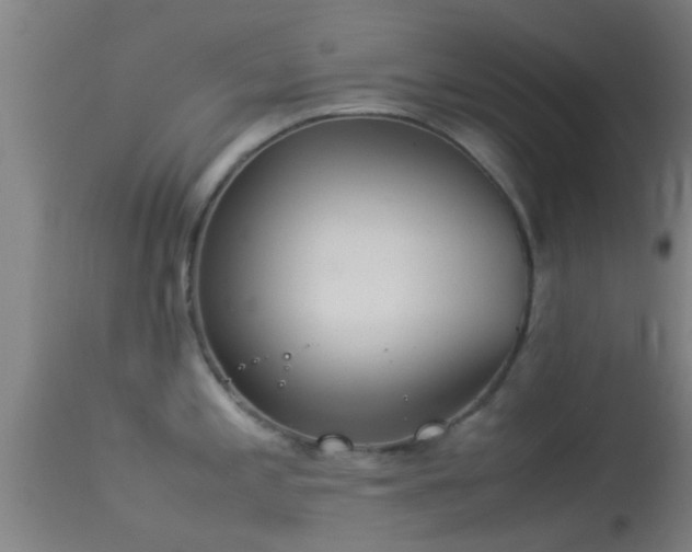 X0000114141197200910151602