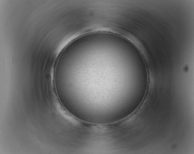 X0000114141198200910151602