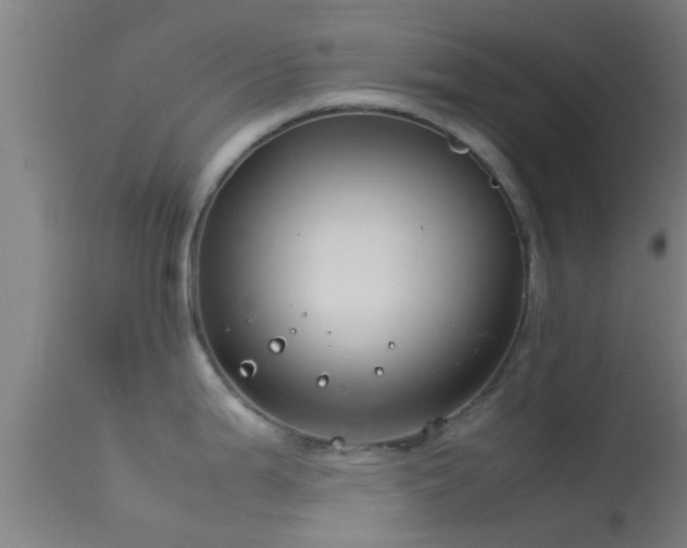 X0000114141199200910151602