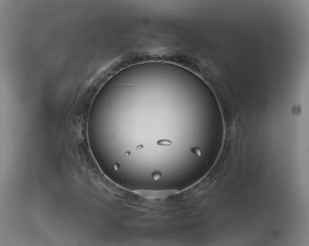 X0000114141205200910151601