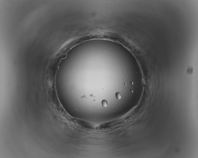 X0000114141206200910151601