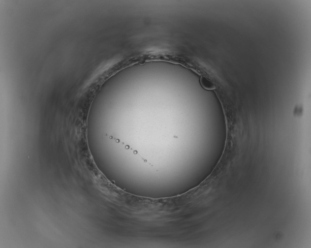 X0000114141207200910151601