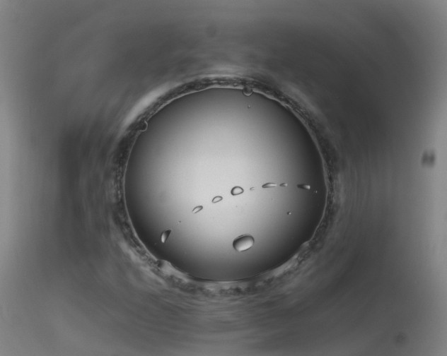 X0000114141208200910151601