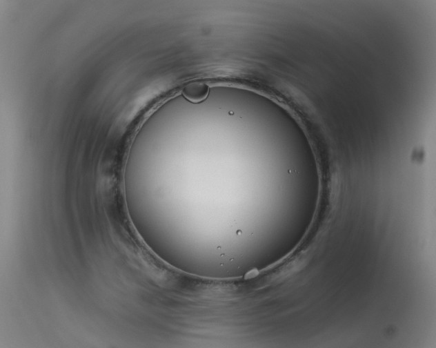 X0000114141210200910151601