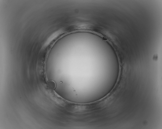 X0000114141211200910151601