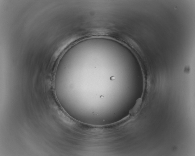 X0000114141212200910151601