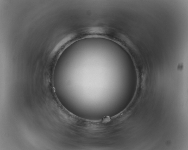 X0000114141213200910151601