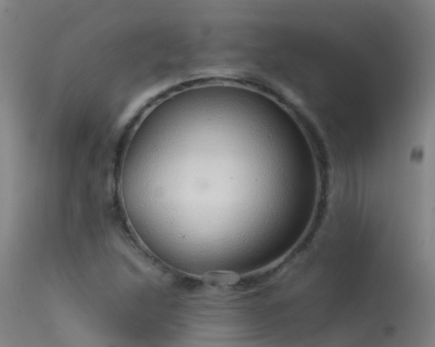 X0000114141214200910151601