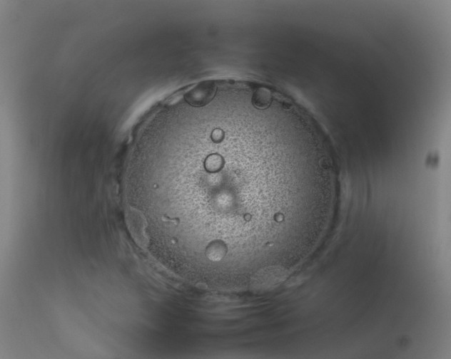 X0000114141215200910151601