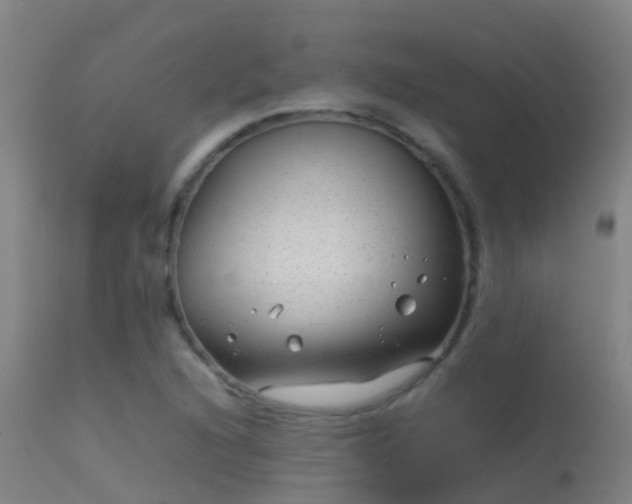 X0000114141216200910151601