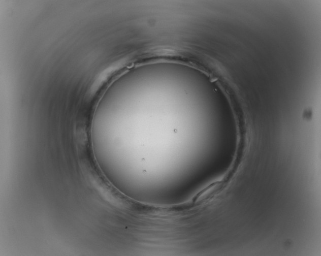 X0000114141218200910151601