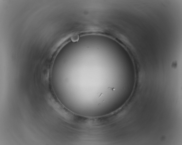 X0000114141220200910151601