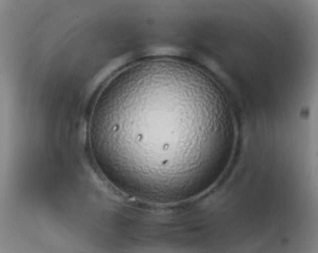 X0000114141221200910151601