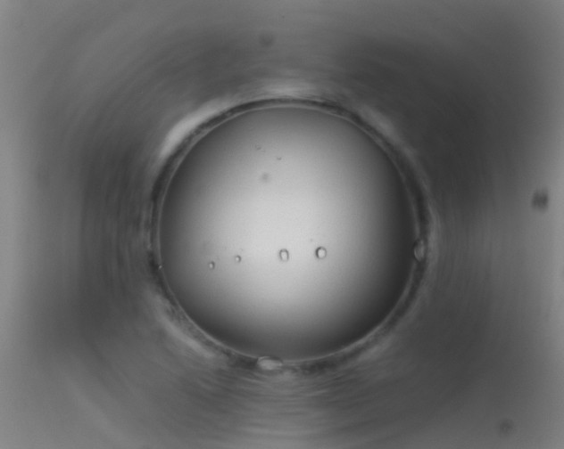 X0000114141222200910151601