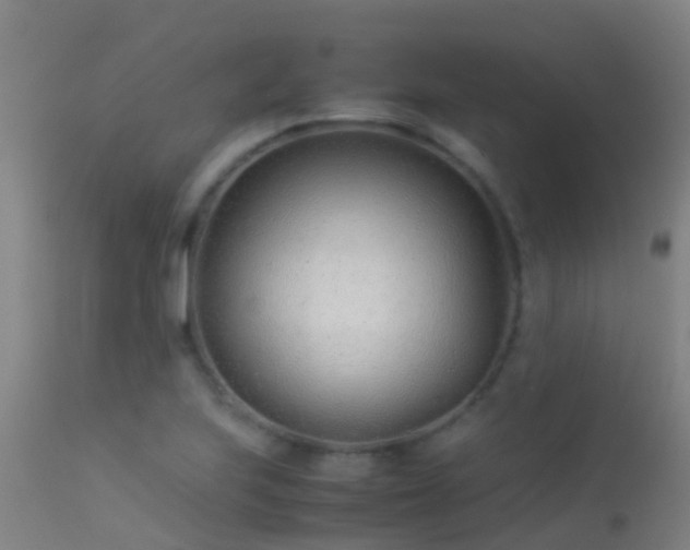 X0000114141223200910151601