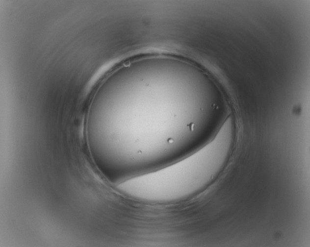 X0000114141224200910151601