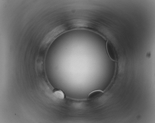 X0000114141225200910151601