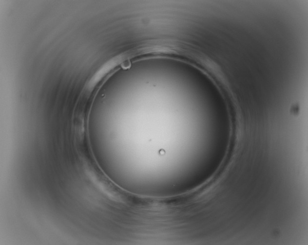 X0000114141226200910151601