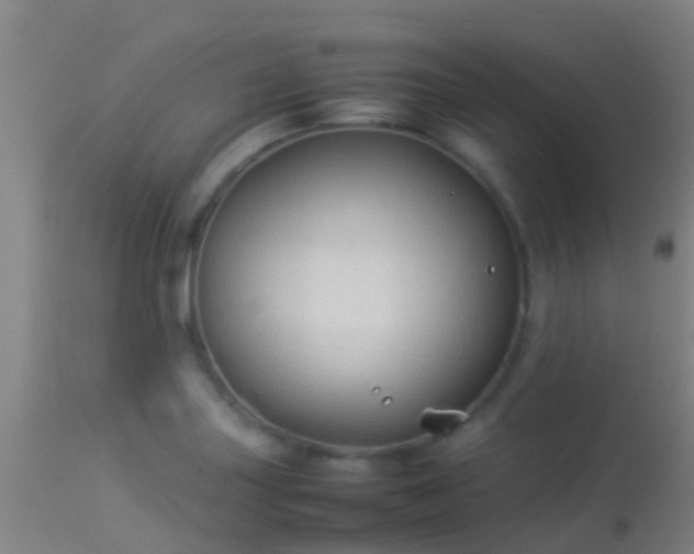 X0000114141227200910151601