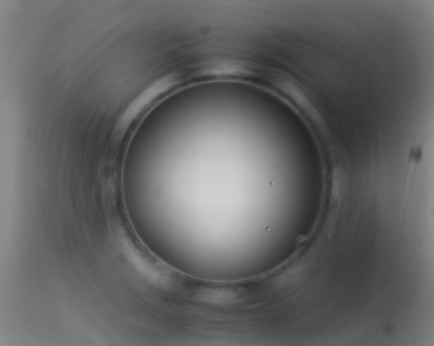 X0000114141229200910151601