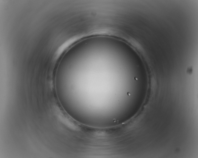 X0000114141230200910151601