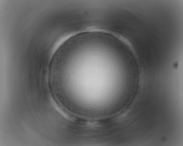 X0000114141231200910151601