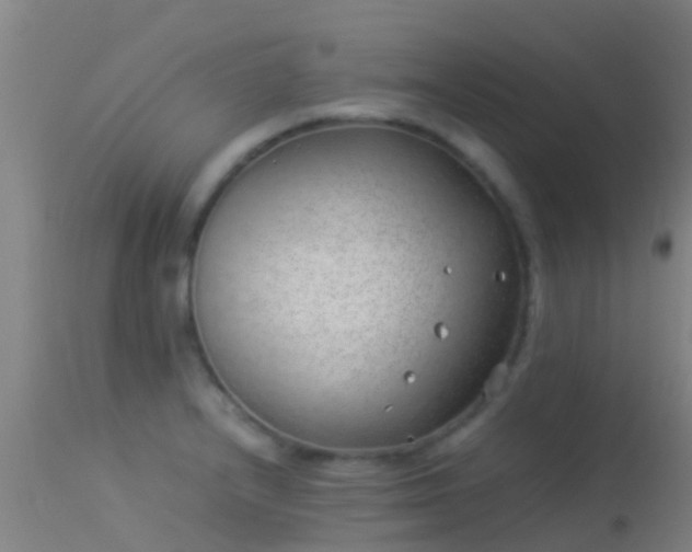 X0000114141232200910151601