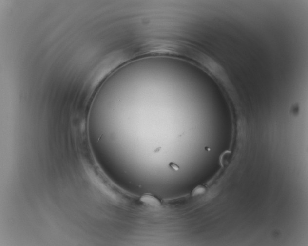 X0000114141234200910151601