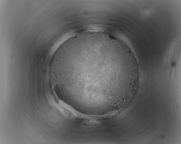 X0000114141235200910151601