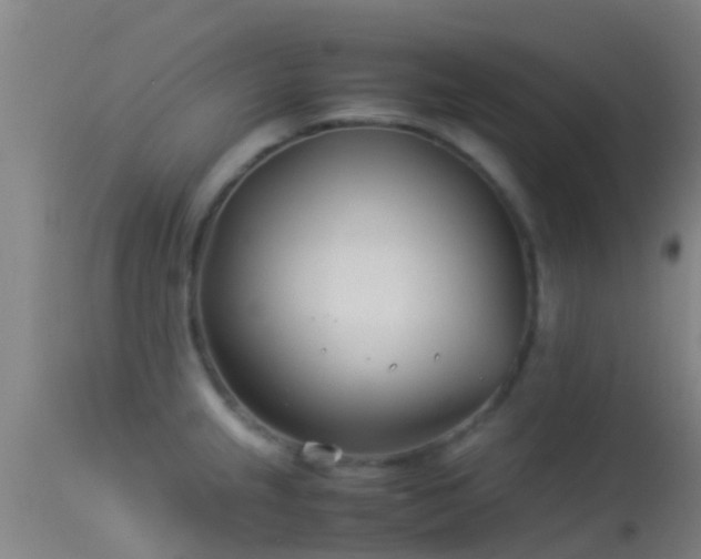 X0000114141237200910151601