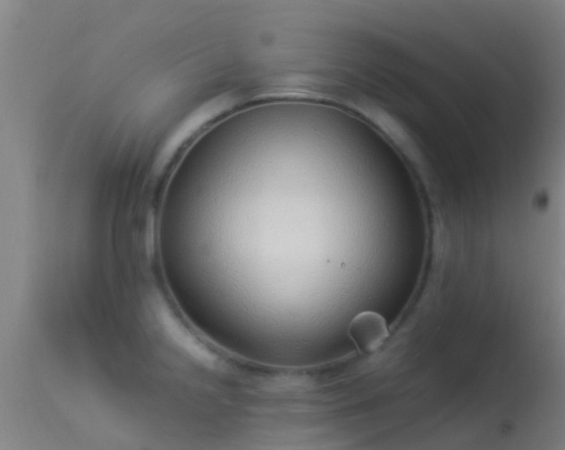 X0000114141238200910151601