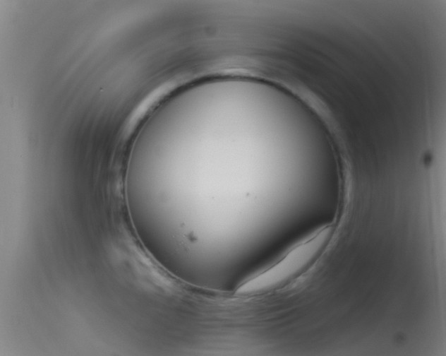 X0000114141240200910151601