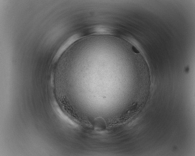 X0000114141243200910151601